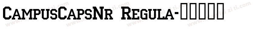 CampusCapsNr Regula字体转换